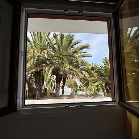 Phoenix Canariensis San Juan de la Rambla Kültér fotó