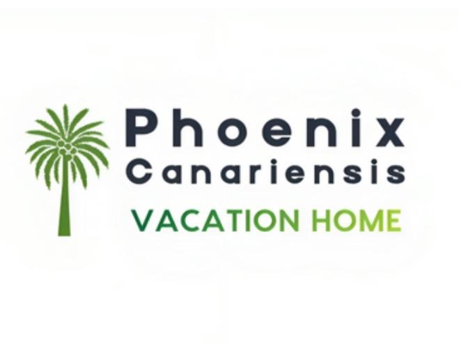 Phoenix Canariensis San Juan de la Rambla Kültér fotó