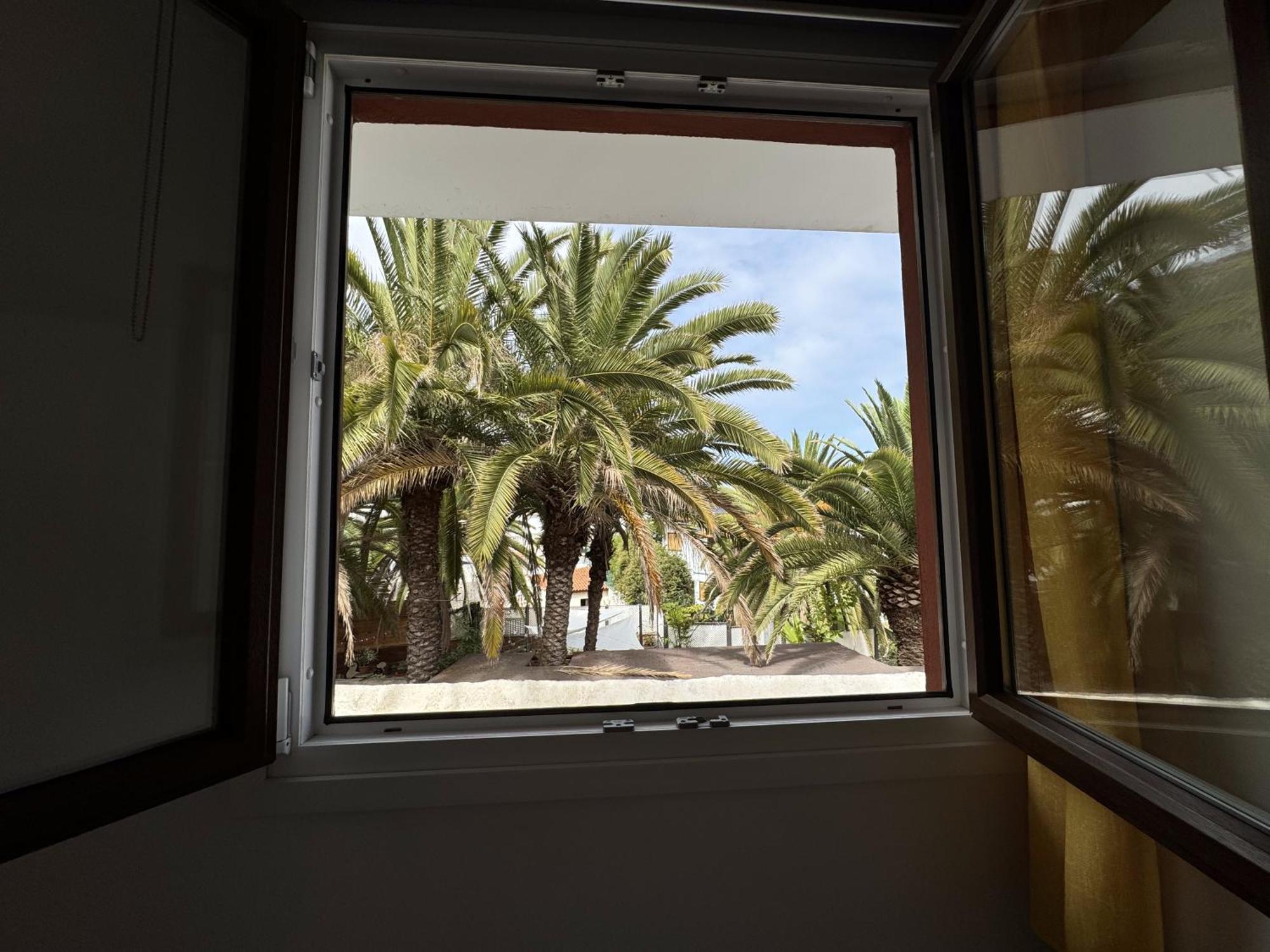 Phoenix Canariensis San Juan de la Rambla Kültér fotó